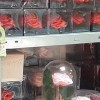 Продается роза в колбе оптом, доставка по России